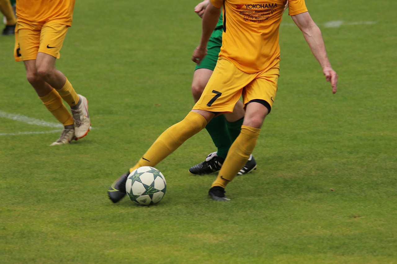 可争议的巨 可争议的巨